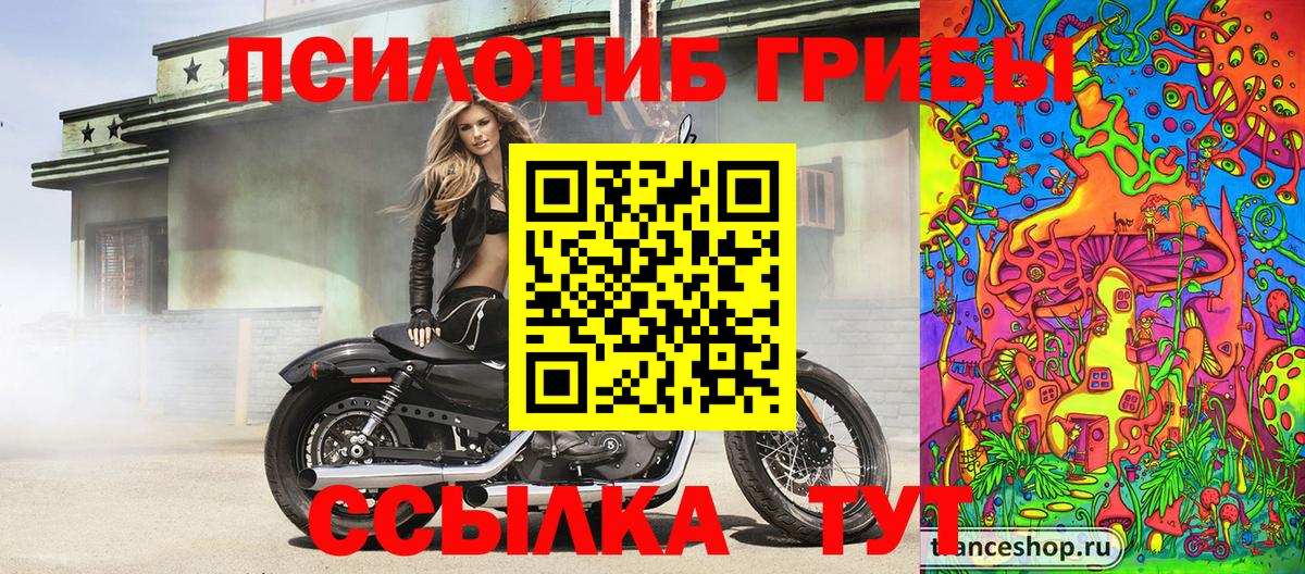 Псилоцибиновые грибы Magic Shrooms  Вход с VPN  Нерюнгри 