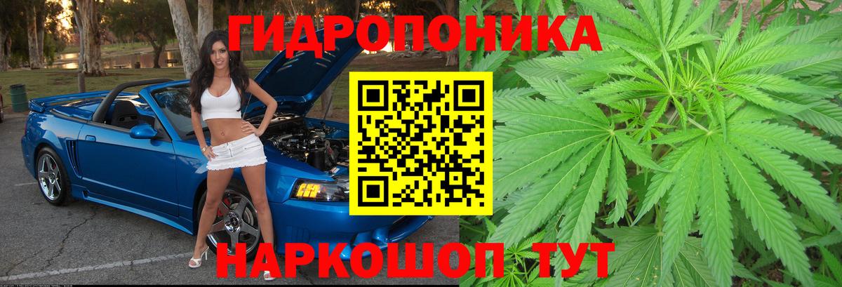 Нерюнгри  Бошки Шишки VHQ  Бошки Шишки THC 21%  Вход с VPN 